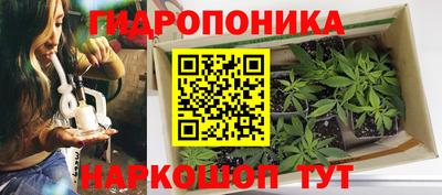 молекула духа Бугуруслан