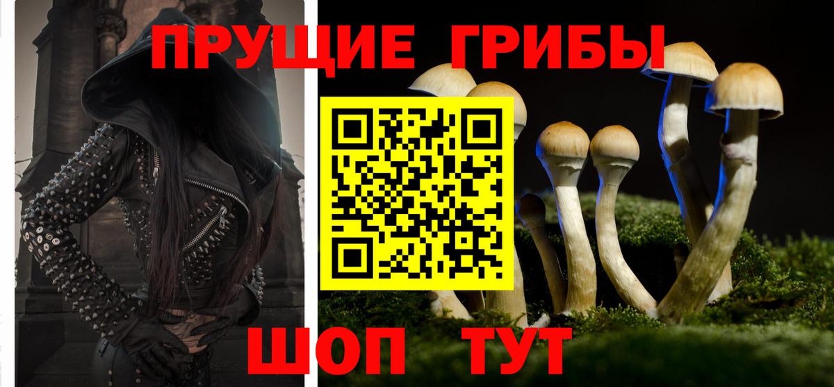 Искитим  дарнет шоп  Вход с VPN  Псилоцибиновые грибы прущие грибы  Псилоцибиновые грибы Magic Shrooms 